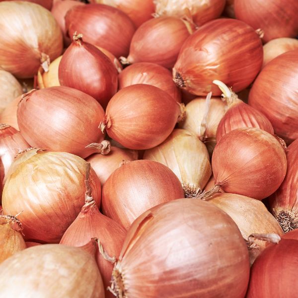 Golden Onion