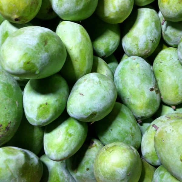 Keitt Mango