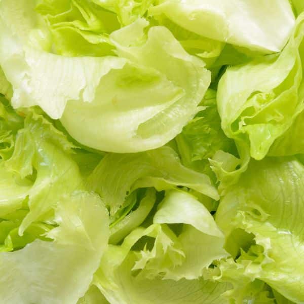 Lettuce