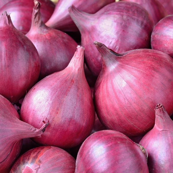 Red Onion