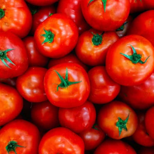 Tomato