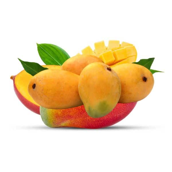 Yasmina Mango​